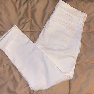 NWT Express cropped jegging